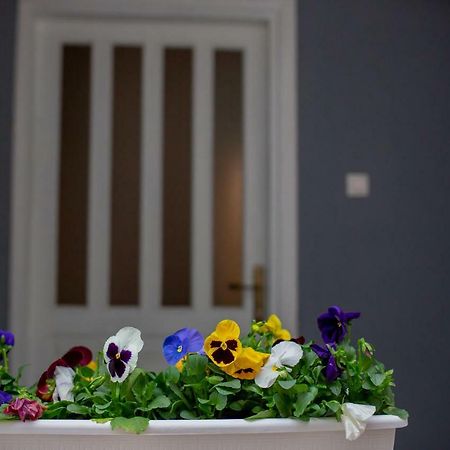 Apartmani Sunset Rogotin Экстерьер фото